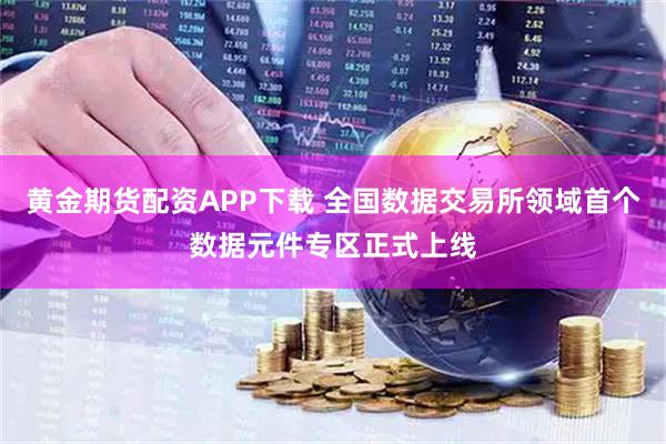 黄金期货配资APP下载 全国数据交易所领域首个数据元件专区正式上线